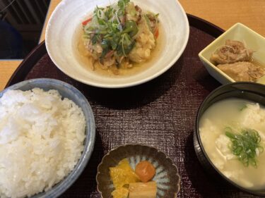 魚天ぷら野菜あんかけ