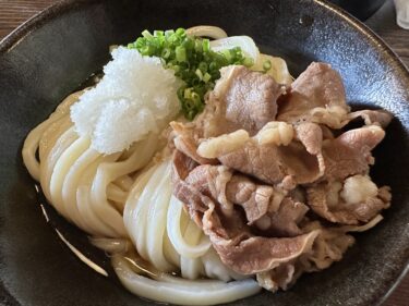 香川麺紀行#1：ざいごうどん 本家 わら家