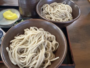 徳島麺紀行#44：そば処 川内橋本 川島店