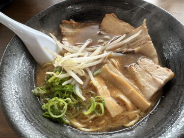 徳島麺紀行#51：麺八