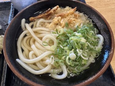 検診後の朝うどん