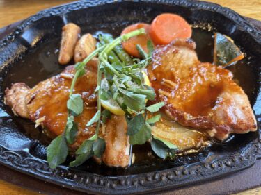 2ヶ月ぶりのポークジンジャー