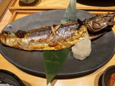 今日のお昼は「とろ鯖」
