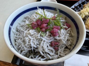 淡路SAでお昼を